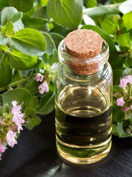 Oregano oil contains antioxidants and may also contain antibiotic and antifungal components. It strengthens the immune system and keeps inflammation in check. The oil may help you lose weight and lower your cholesterol levels.